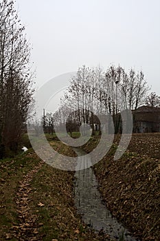 Trail bordered by irrigation channel and bare trees on a cloudy day in the italian countryside in winter