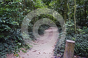 Trail at `Bosque da Freguesia`, Freguesia Forest Public Park, Rio