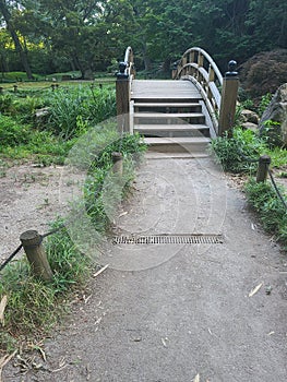 Trail bridge hiking steps trees
