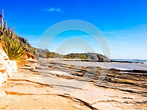 Trail in BÃºzios, Brazil - 2021. Tartaruga Beach.