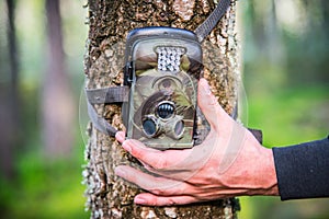 Trail camera adjusting in forest