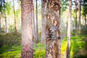 Trail camera Infrared Night Vision