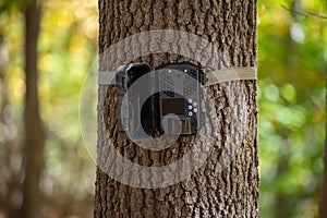 Trail camera strapped to tree in the woods, bokeh background