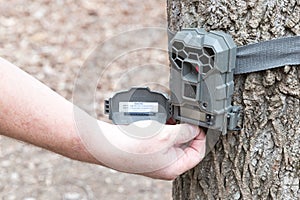 A trail camera strapped on a tree.