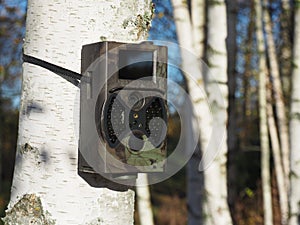 Trail camera in the woods