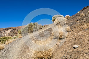 Trail Through The Canadas In Tenerife, Spain