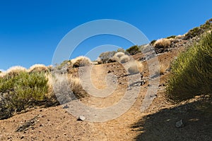 Trail Through The Canadas In Tenerife, Spain