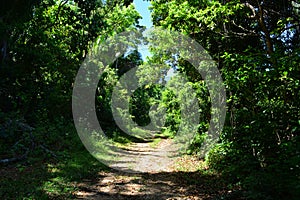 Trail in Capiro Calentura National Park, Trujillo, Honduras