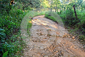 Trail in Chiapas, Mexico