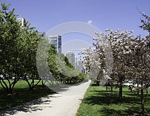 Trail in Chicago at Grant Park