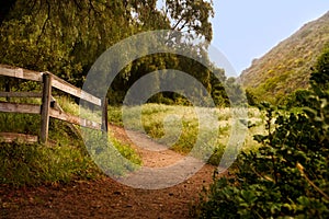 Trail in the Countryside