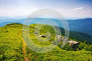 trail down the grassy hill. alpine scenery of ukrainian mountains in summer