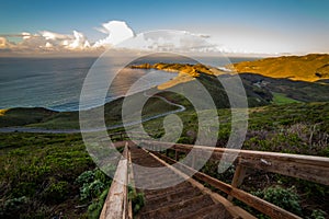 Trail down to Point Bonita photo