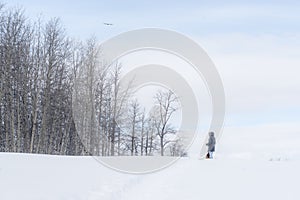 On the Trail - Dreamy Winter Landscape