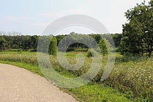 A trail at Ethel`s Woods Forest Preserve edged with wildflowers and trees in Antioch, Illinois