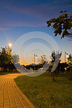 Trail in evening park in summer