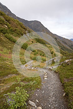 Trail at Exit Glacier, Harding Ice field, Kenai Fjords National Park, Seward, Alaska, United States