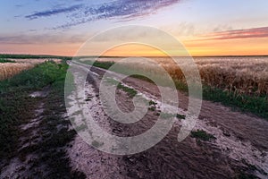 Trail on the field during sunset