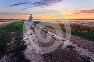 Trail on the field during sunset