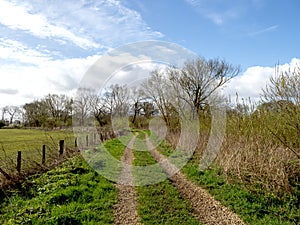 Trail beside a field with trees and a blue sky