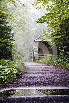 Trail in foggy forest with small shelter and reflexion in water