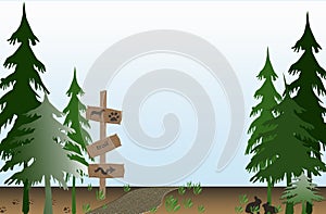 Trail through the forest