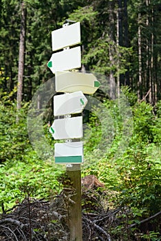 Trail forest direction sign crossroad post