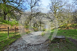 Trail in forest in hilly English countryside