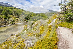 Trail, Forest and Lapataia River, Tierra del Fuego National Park