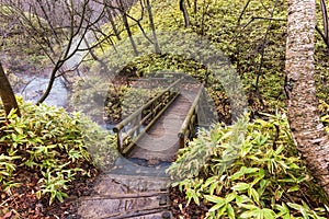 trail in forest to visit Oyunumagawa Hot spring, Noboribetsu, Hokkaido, Japan. Natural foot spa landmark for visitor or tourist.