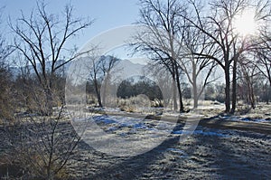 A trail in the frosty backwoods in utah