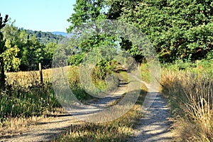 Trail in the Galizia photo