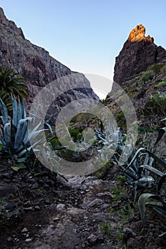 Trail in the gorge Maska, Tenerife Spain