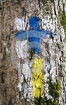 Trail guiding signs