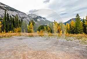 Trail head to Mount Baldy Pass. Bow Valley Wilderness Area. Alberta Canada