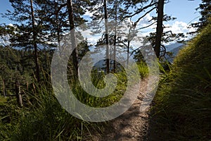 Trail at Herzogstand mountain in Bavaria, Germany