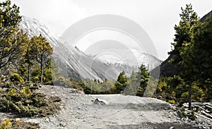 Trail hig up in Annapurna / Himalaya photo