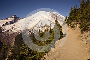 Trail High on Burroughs Mountain Cascade Range Mt. Rainier Background photo