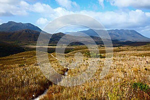 Trail through highland meadows in Tasmanian mountains