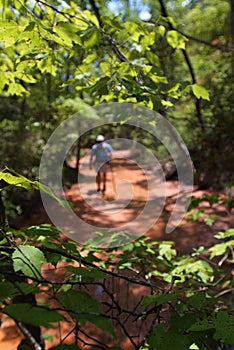 Trail Hiking