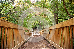 Trail Through Hocking Hils State Park, Ohio