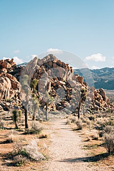Trail and huge rock pile in Joshua Tree National Park, California