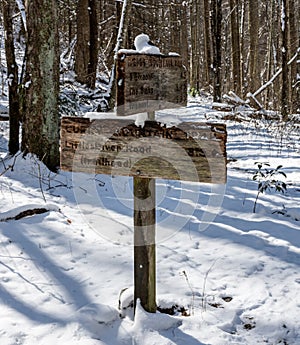 Trail intersection in the Smokies photo