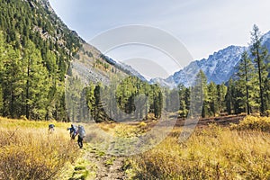 Trail in Kuiguk walley. Trekking. Altai mountains landscape