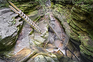 Trail Ladders in Bear Hollow