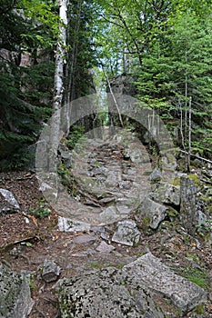 Trail in Lake Superior Provincial Park