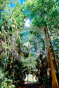 The Trail landscape of Lake parker in Lakeland, Florida