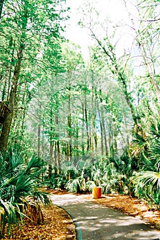 The Trail landscape of Lake parker in Lakeland, Florida