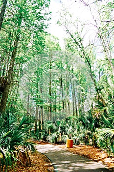 The Trail landscape of Lake parker in Lakeland, Florida