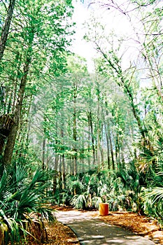 The Trail landscape of Lake parker in Lakeland, Florida